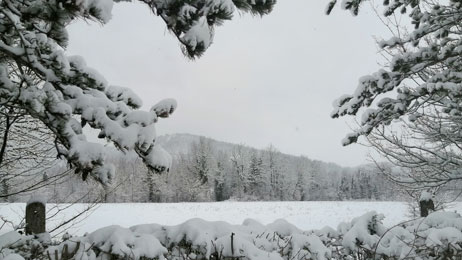 Neve a Sarnano