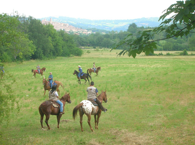 equitazione