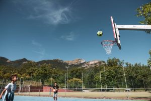 basket-LV8_3380